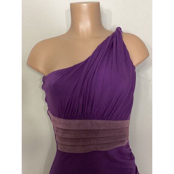 New. SKY purple Grecian style dress with leather. Normally $224 - Picture 3 of 8